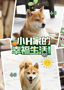 小H一家 先导片