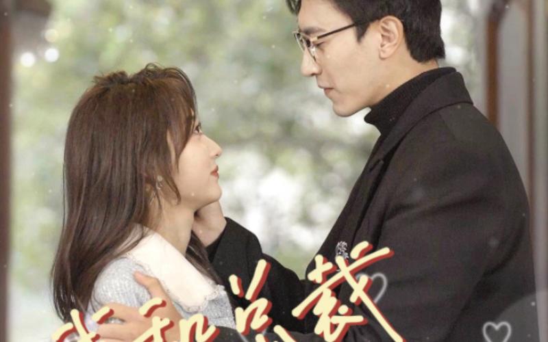 我和总裁互相装穷 第61-79集完结(大结局)