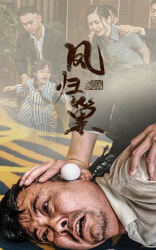 新版：凤归巢 第41-60集