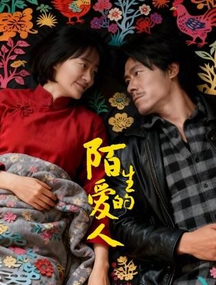 陌生的爱人(全集)