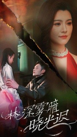 林深雾暗晓光迟 第41-50集完结(大结局)