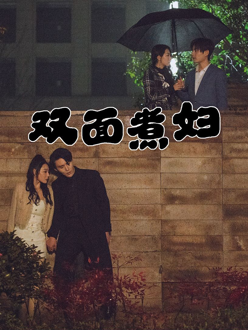 双面煮妇 第21-40集