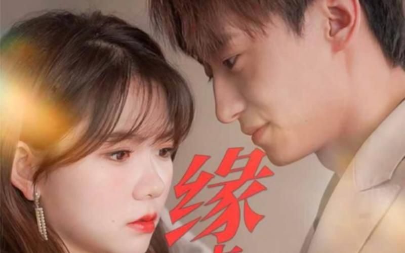 缘来是你 第81-98集完结(大结局)