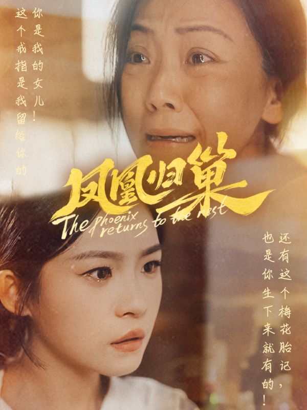 凤凰归巢 第1-20集