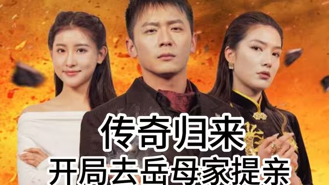 传奇归来开局去岳母家提亲 第41-60集