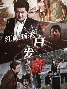 红颜暗老白发新 第21-40集