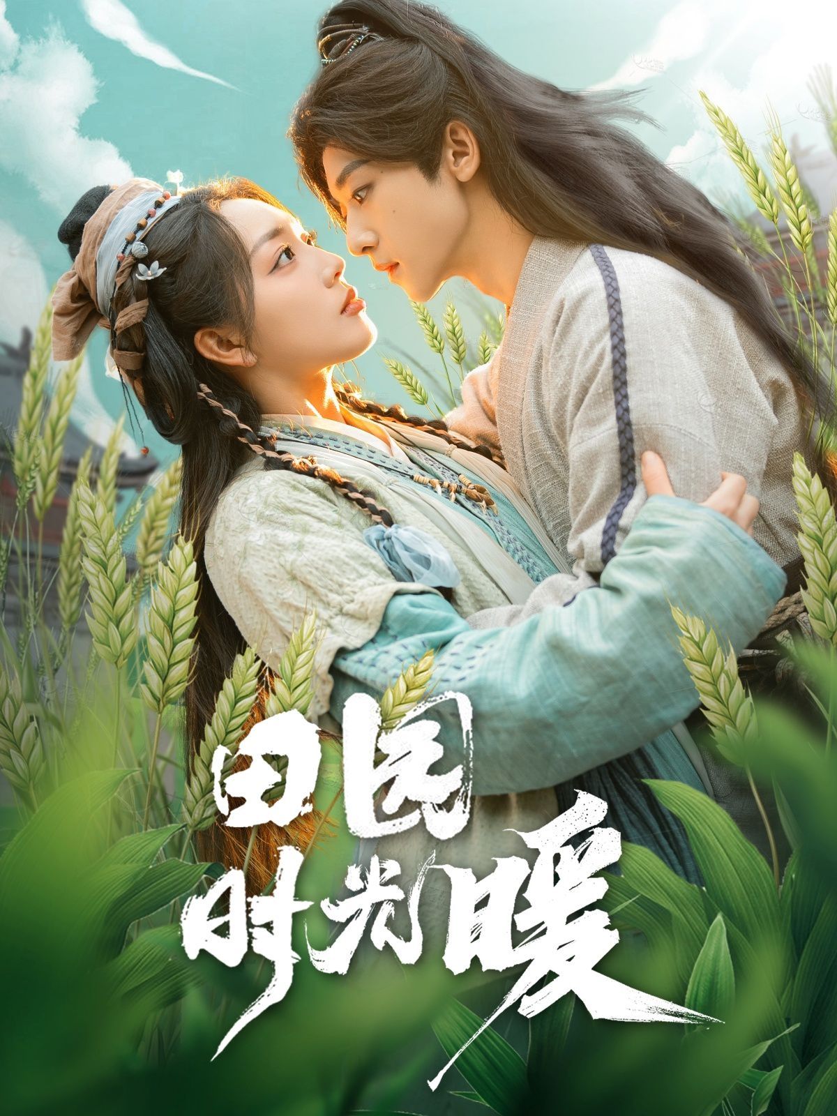 田园时光暖 第21-40集