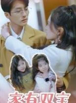 家有双宝拐个总裁送妈咪 第1-20集