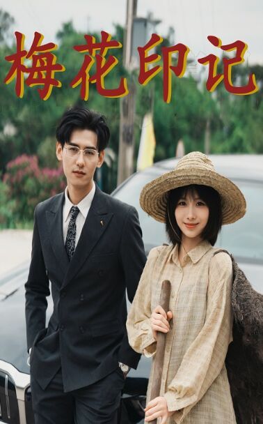 梅花印记 第1-20集