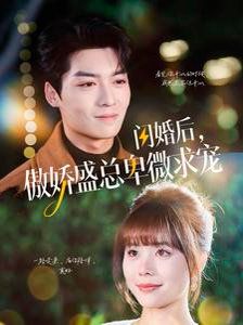 闪婚后傲娇盛总卑微求宠 第1-20集