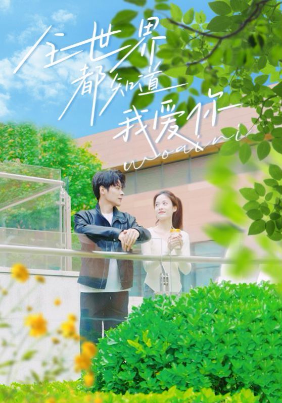 全世界都知道我爱你 第1-20集