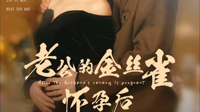 老公的金丝雀怀孕后 第1-30集