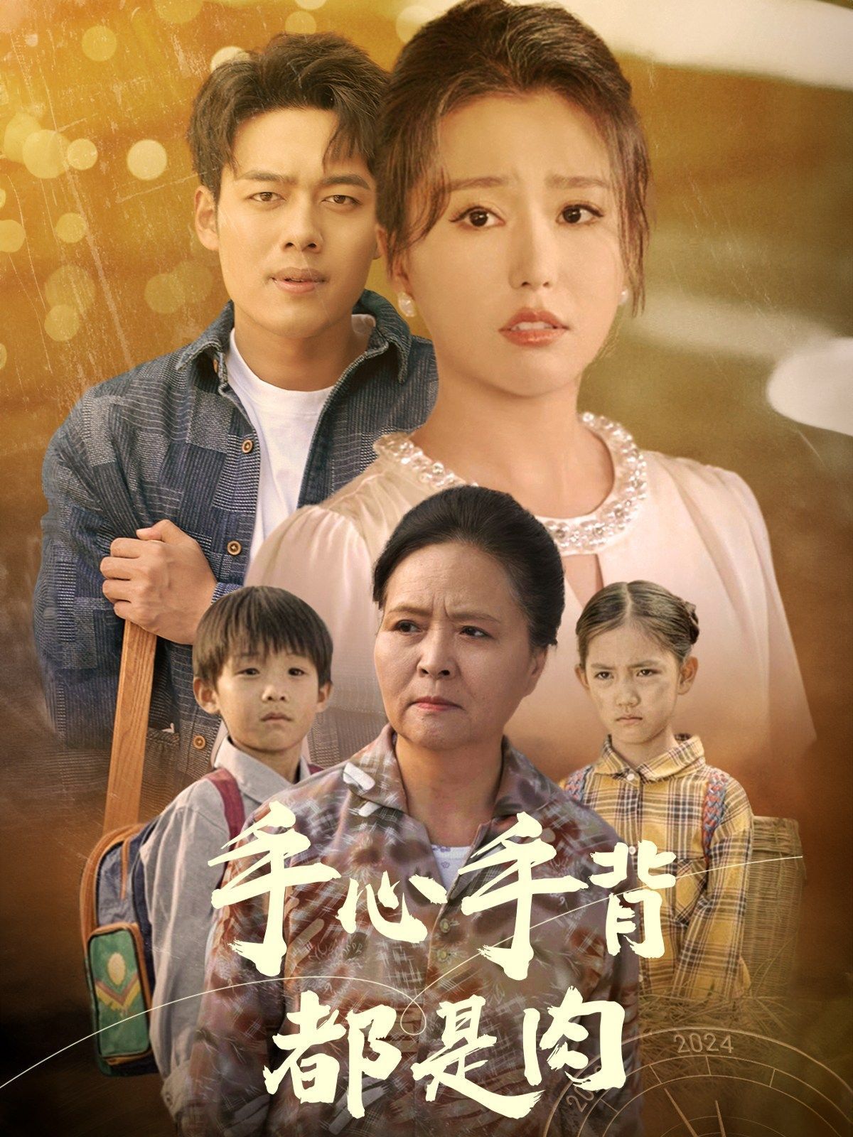 手心手背都是肉 第41-60集